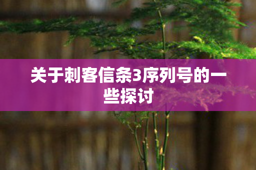 关于刺客信条3序列号的一些探讨图片