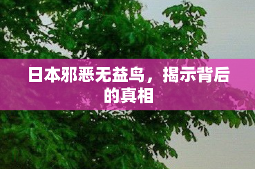 日本邪恶无益鸟图片
