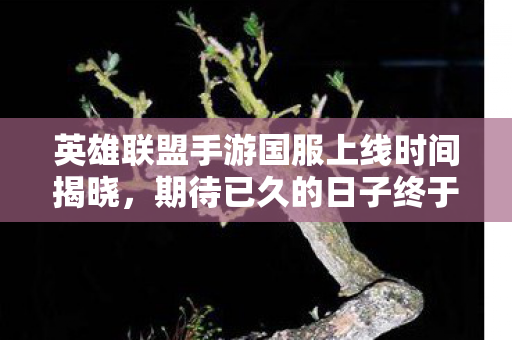 英雄联盟手游国服上线时间揭晓图片