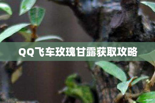 QQ飞车玫瑰甘露获取攻略图片