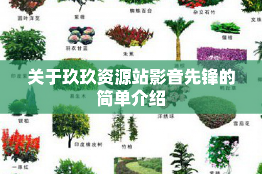 关于玖玖资源站影音先锋的简单介绍图片