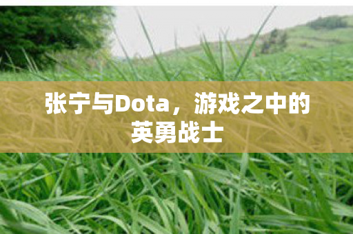 游戏之中的英勇战士图片