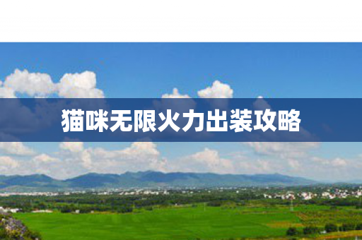 猫咪无限火力出装攻略图片