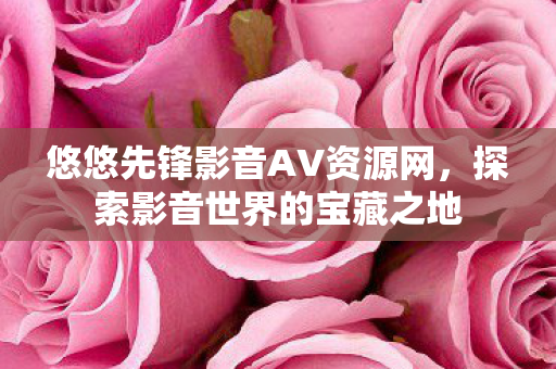 悠悠先锋影音AV资源网图片