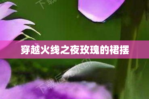 穿越火线之夜玫瑰的裙摆图片