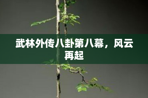 武林外传八卦第八幕图片