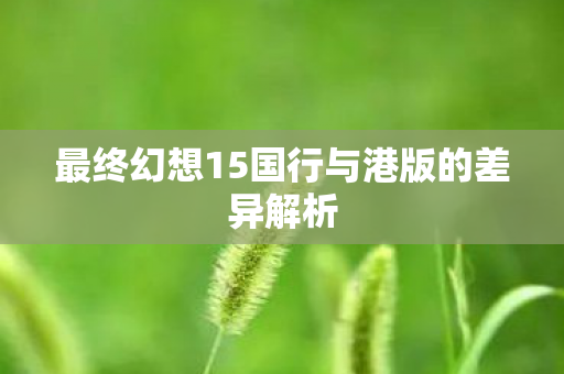 最终幻想15国行与港版的差异解析图片