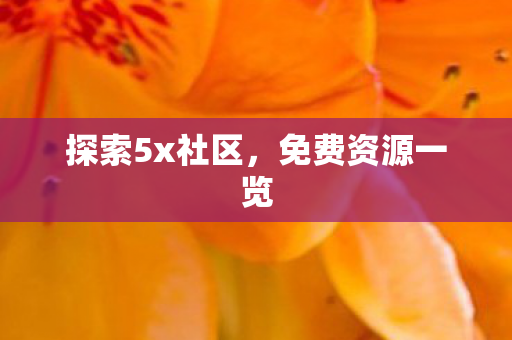 探索5x社区图片