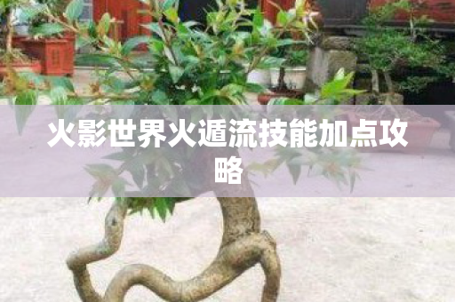 火影世界火遁流技能加点攻略图片