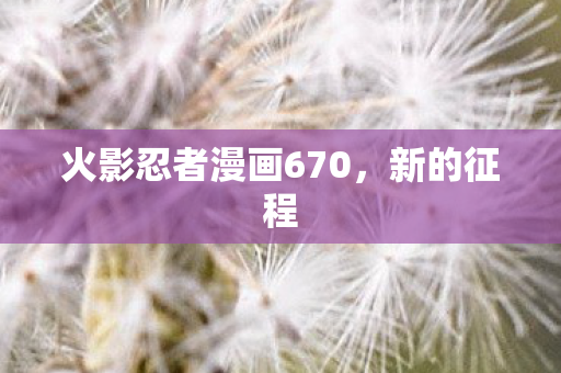 火影忍者漫画670图片