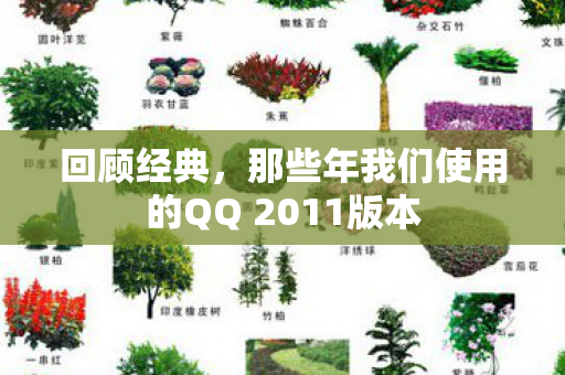 那些年我们使用的QQ 2011版本图片