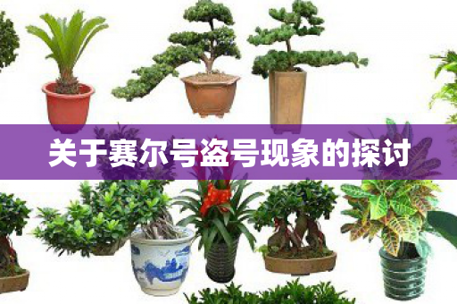 关于赛尔号盗号现象的探讨图片
