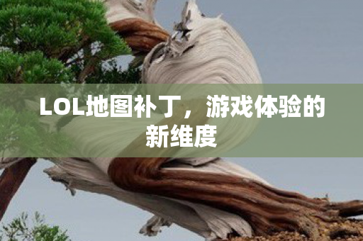 游戏体验的新维度图片