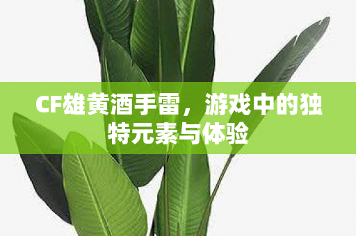 游戏中的独特元素与体验图片