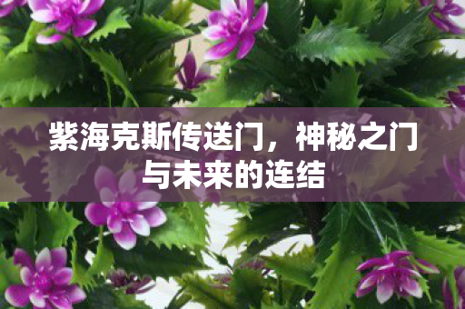 神秘之门与未来的连结图片