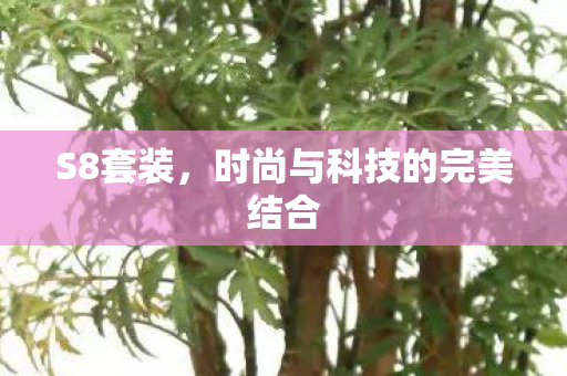 时尚与科技的完美结合图片