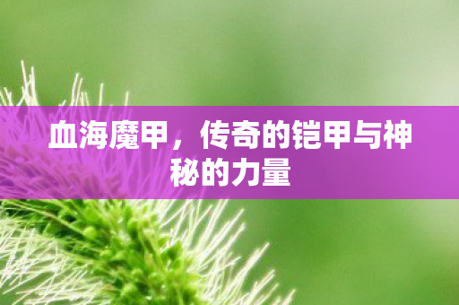 传奇的铠甲与神秘的力量图片