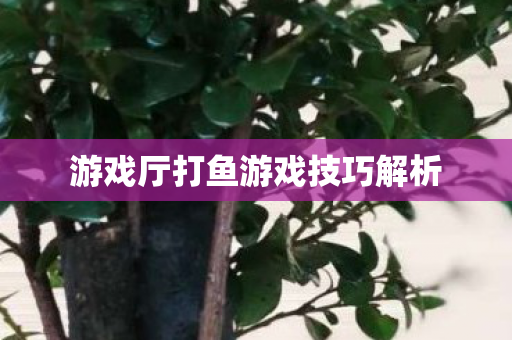 游戏厅打鱼游戏技巧解析图片