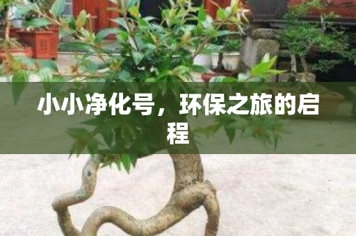 环保之旅的启程图片