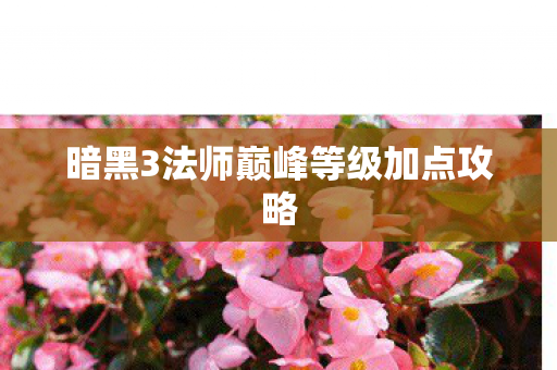 暗黑3法师巅峰等级加点攻略图片