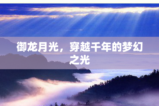 穿越千年的梦幻之光图片