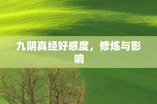 九阴真经好感度图片