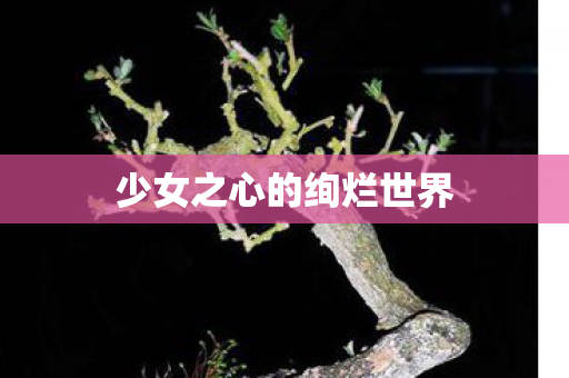 少女之心的绚烂世界图片