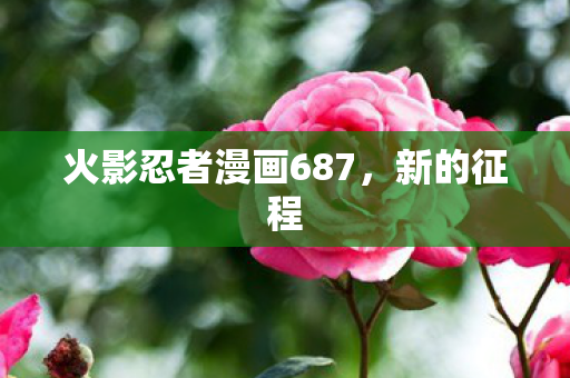 火影忍者漫画687图片