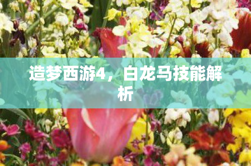 白龙马技能解析图片
