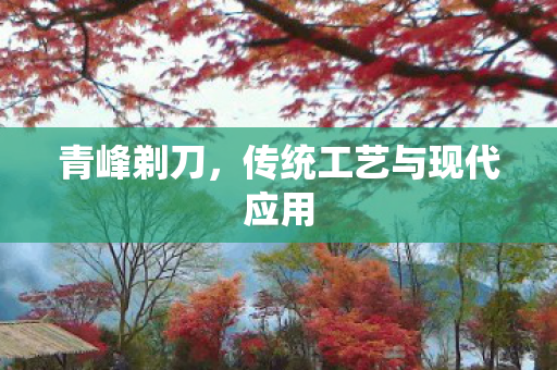 传统工艺与现代应用图片
