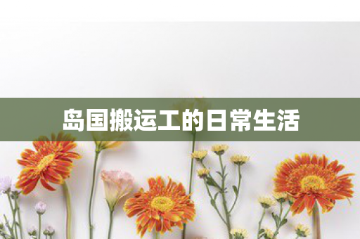 岛国搬运工的日常生活图片