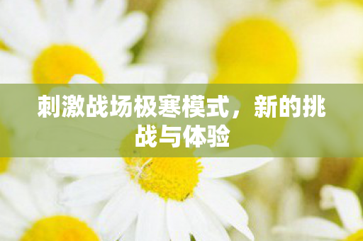刺激战场极寒模式图片