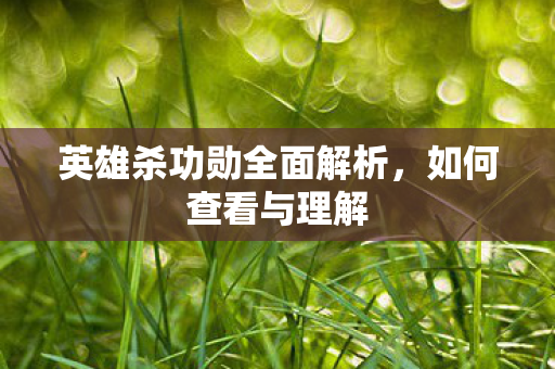 英雄杀功勋全面解析图片