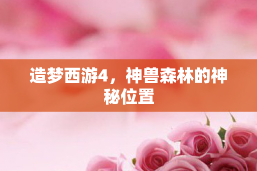 神兽森林的神秘位置图片