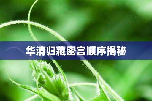 华清归藏密宫顺序揭秘图片
