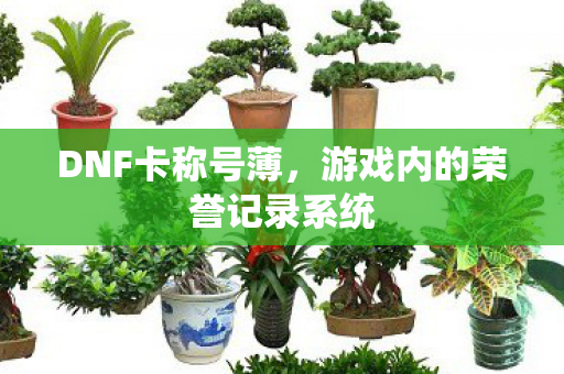 游戏内的荣誉记录系统图片