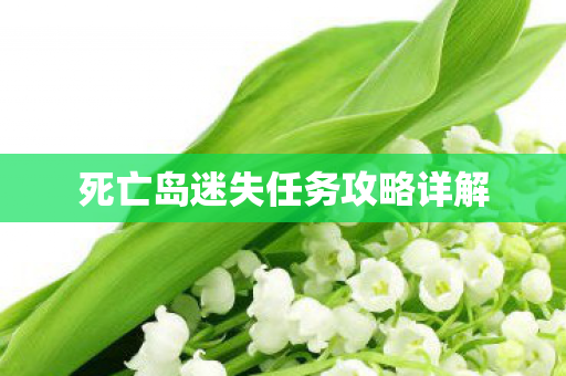 死亡岛迷失任务攻略详解图片