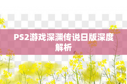 PS2游戏深渊传说日版深度解析图片