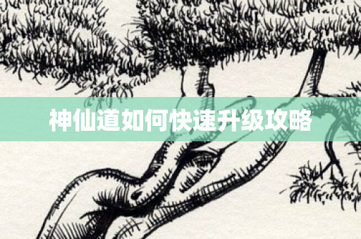 神仙道如何快速升级攻略图片