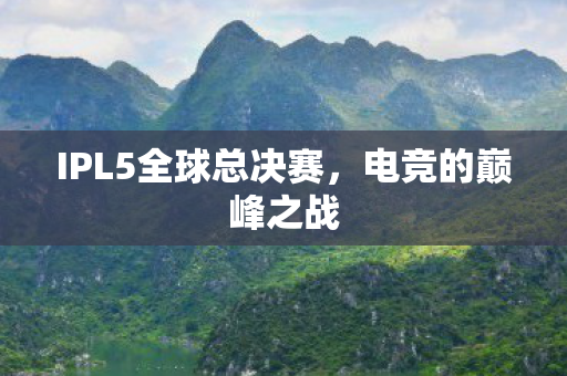 IPL5全球总决赛图片