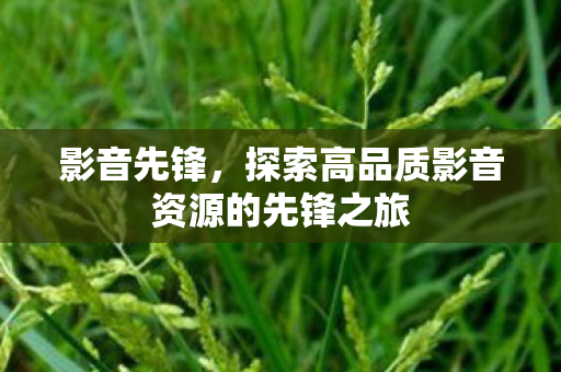 探索高品质影音资源的先锋之旅图片
