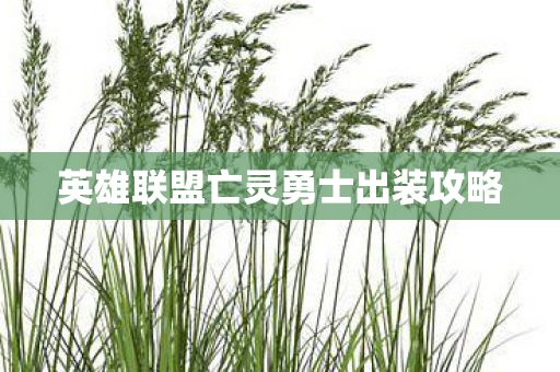 英雄联盟亡灵勇士出装攻略图片