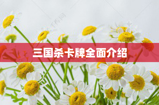 三国杀卡牌全面介绍图片