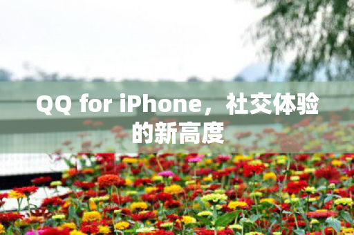 QQ for iPhone图片