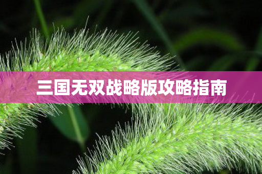 三国无双战略版攻略指南图片