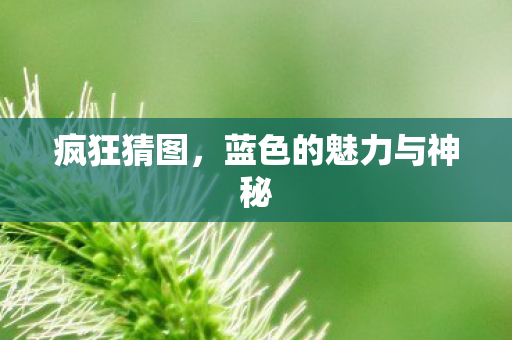 蓝色的魅力与神秘图片