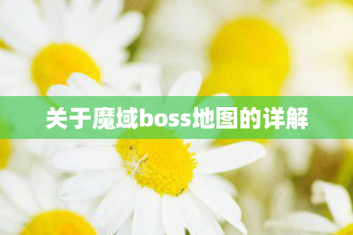 关于魔域boss地图的详解图片