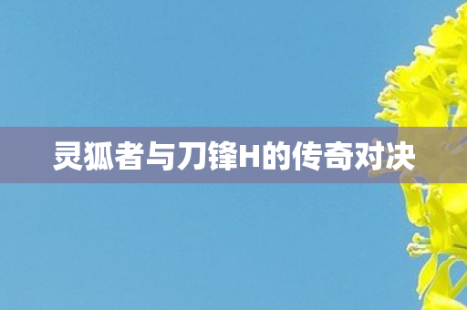 灵狐者与刀锋H的传奇对决图片