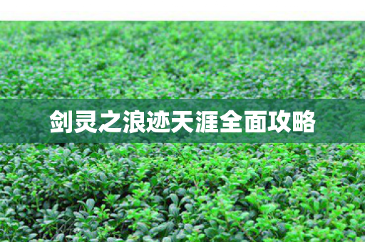 剑灵之浪迹天涯全面攻略图片