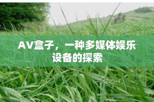 一种多媒体娱乐设备的探索图片